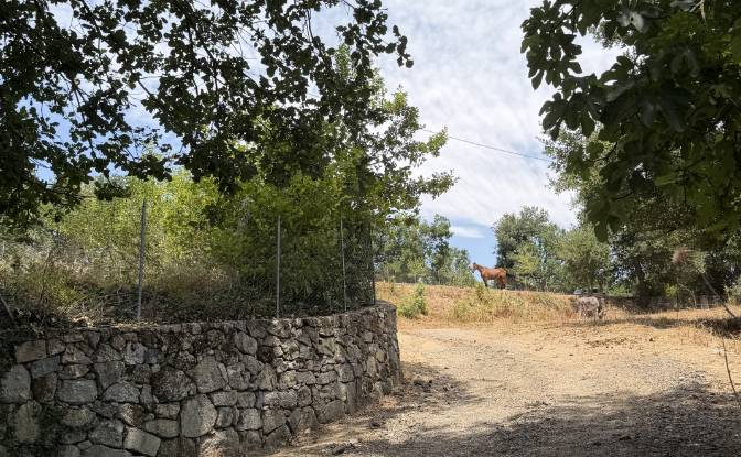 Land Lot for Sale Via Curune, 08020 Gavoi NU. Photo#3 Land Lot for Sale Via Curune, 08020 Gavoi NU. Photo#3