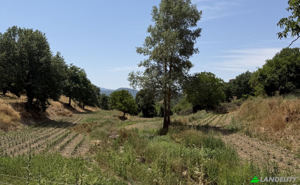 Land Lot for Sale Via Curune, 08020 Gavoi NU, Gavoi NU, Province of Nuoro, Sardinia, Italy. Photo 4