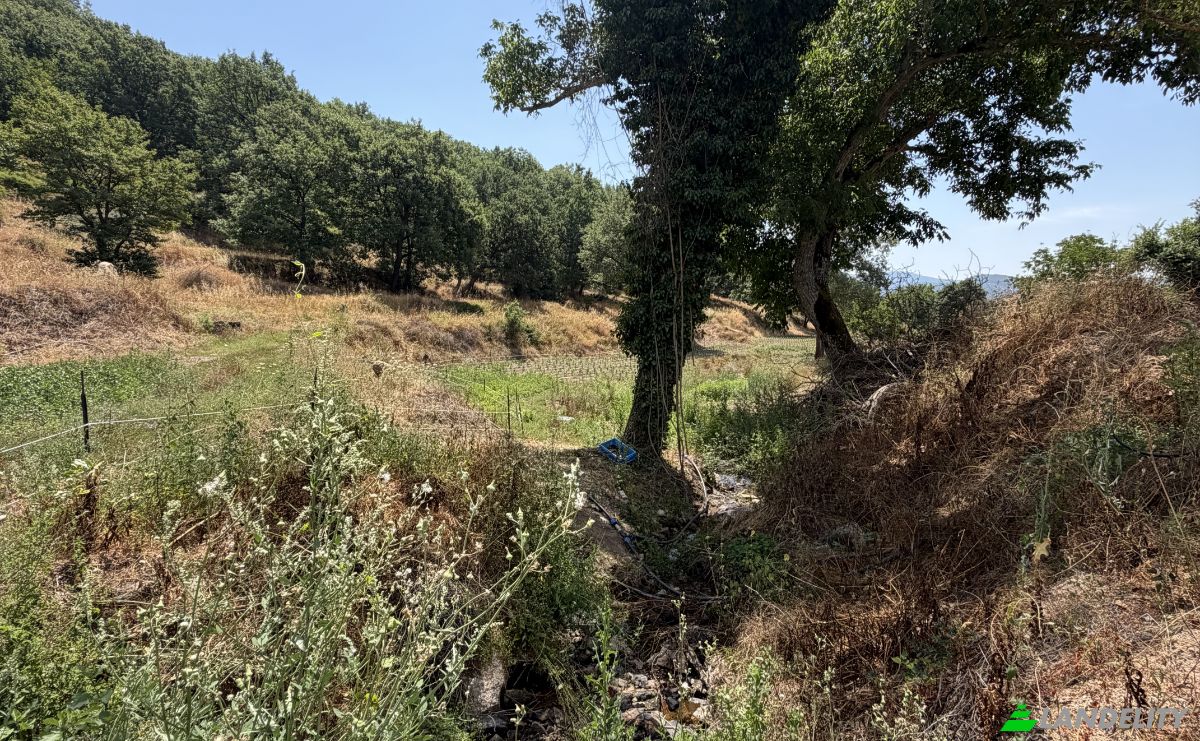 Land Lot for Sale Via Curune, 08020 Gavoi NU, Gavoi NU, Province of Nuoro, Sardinia, Italy. Photo 6
