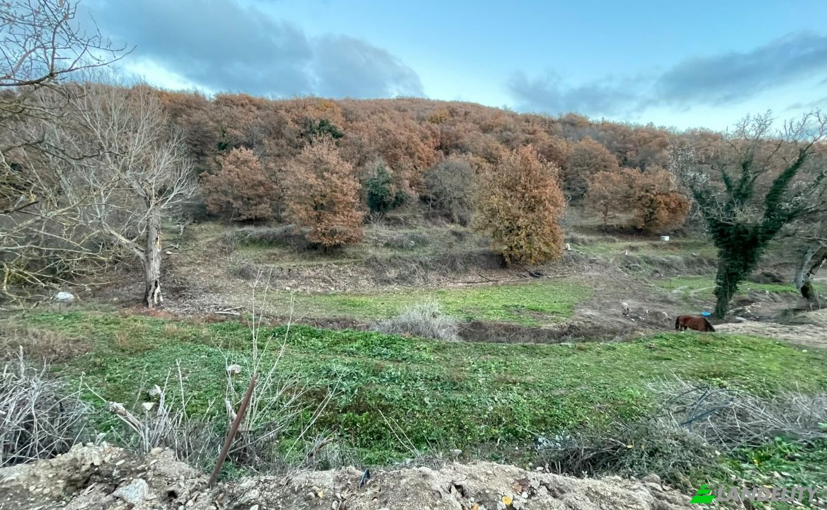 Land Lot for Sale Via Curune, 08020 Gavoi NU, Gavoi NU, Province of Nuoro, Sardinia, Italy. Photo 9