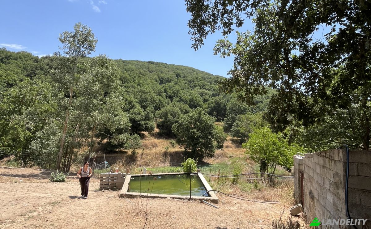 Land Lot for Sale Via Curune, 08020 Gavoi NU, Gavoi NU, Province of Nuoro, Sardinia, Italy. Photo 11