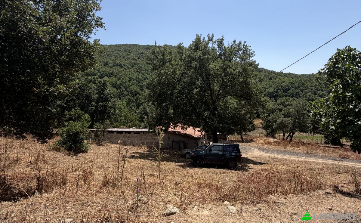 Land Lot for Sale Via Curune, 08020 Gavoi NU, Gavoi NU, Province of Nuoro, Sardinia, Italy. Photo 13