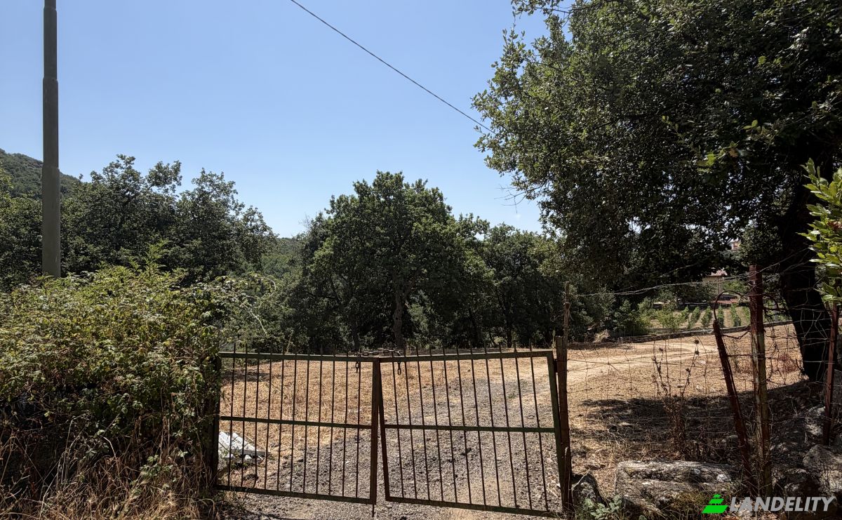 Land Lot for Sale Via Curune, 08020 Gavoi NU, Gavoi NU, Province of Nuoro, Sardinia, Italy. Photo 14