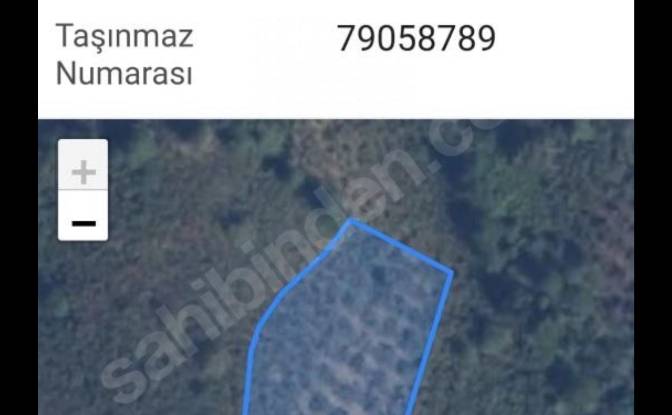 Investing/Development for Sale Ugurlu. Photo#6