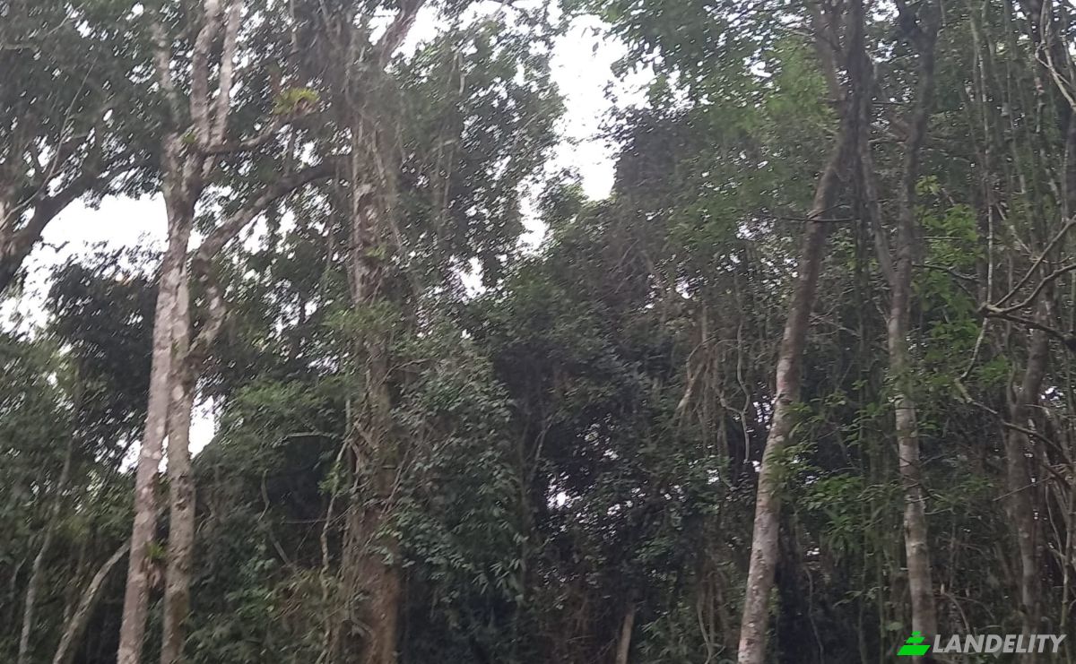 Lote de terreno à venda Nazaré Paulista - SP, Nazaré Paulista, São Paulo, Brasil, 12960-000. foto 1
