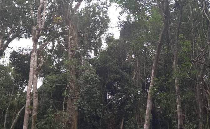 Land Lot for Sale - Nazare Paulista - State of Sao Paulo, Brazil