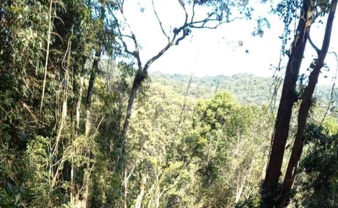 Lote de terreno à venda Nazaré Paulista - SP. foto#3