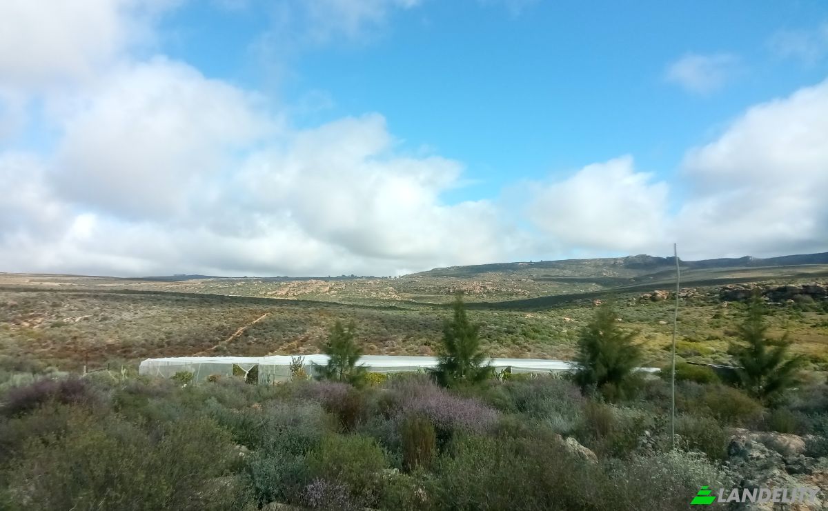 Farm/Ranch for Sale West Coast District Municipality, Western Cape, South Africa. Photo 6