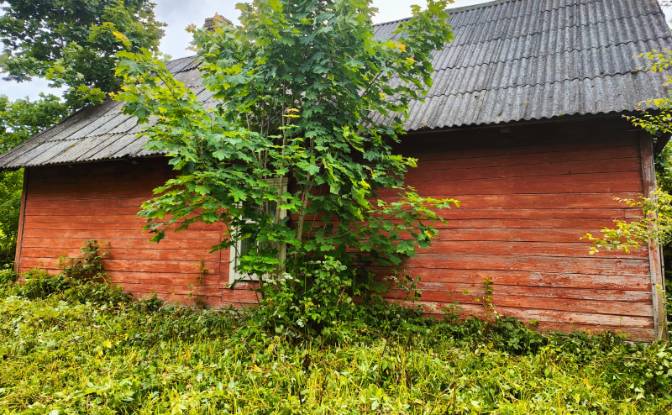 Farm/Ranch for Sale - Raceva, Latvia