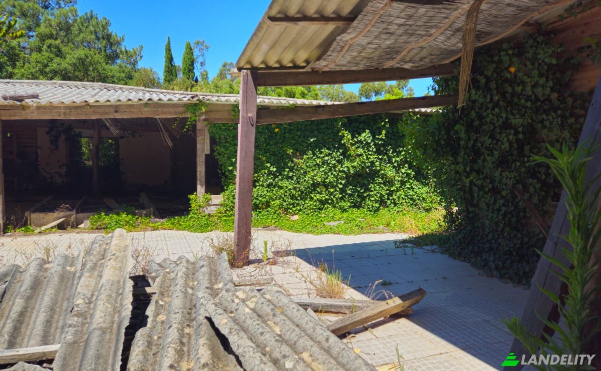 Farm/Ranch for Sale N9-1, Sintra, Lisbon, Portugal. Photo 10