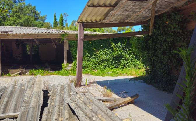 Farm/Ranch for Sale N9-1, Sintra, Lisbon, Portugal. Photo#10 Farm/Ranch for Sale N9-1, Sintra, Lisbon, Portugal. Photo#10