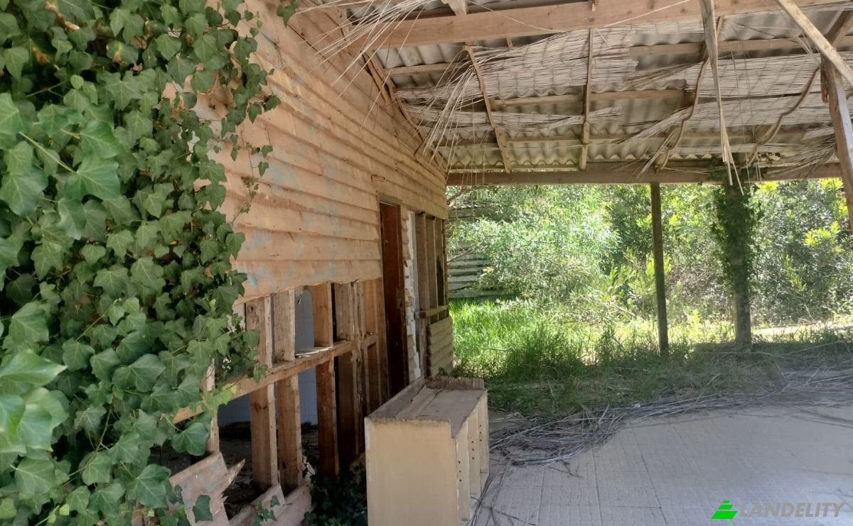 Farm/Ranch for Sale N9-1, Sintra, Lisbon, Portugal. Photo 12