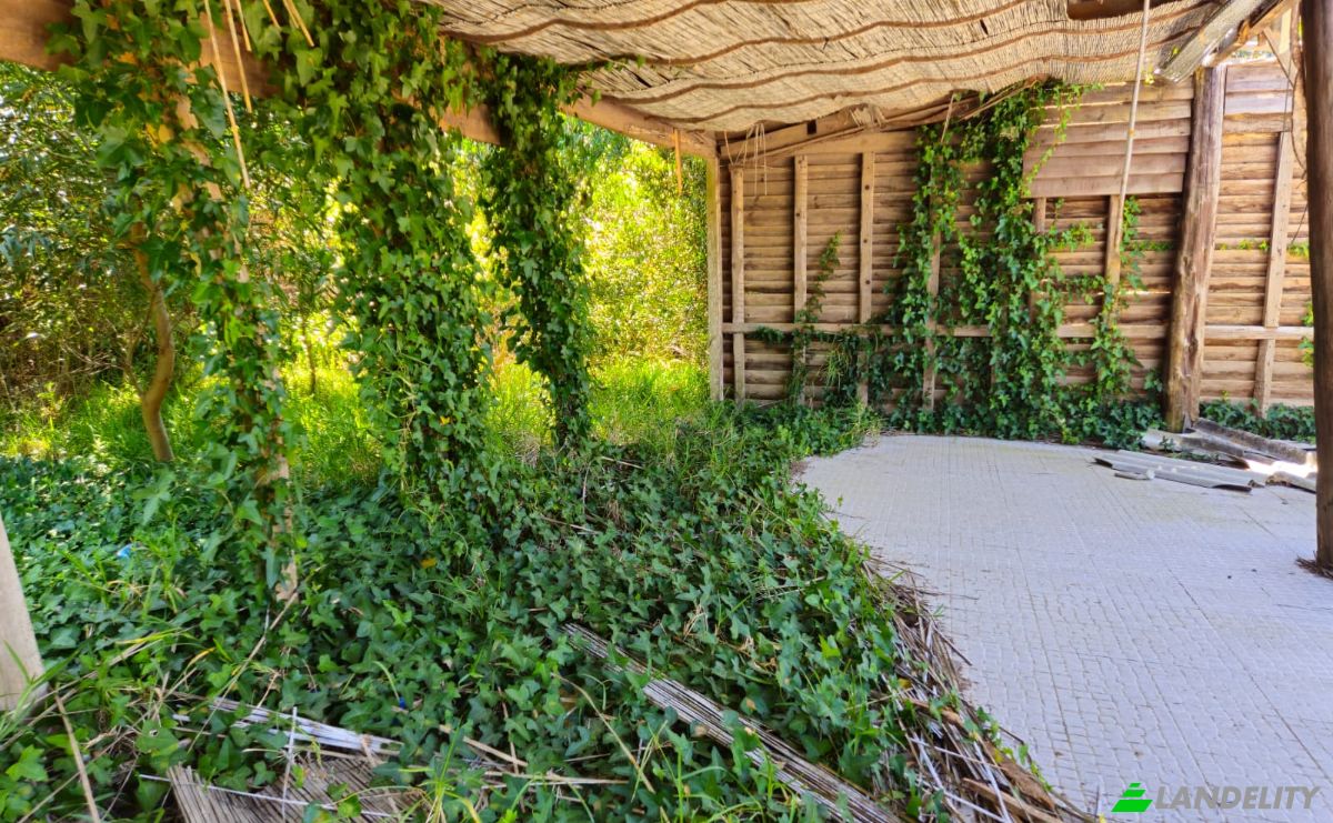 Farm/Ranch for Sale N9-1, Sintra, Lisbon, Portugal. Photo 15
