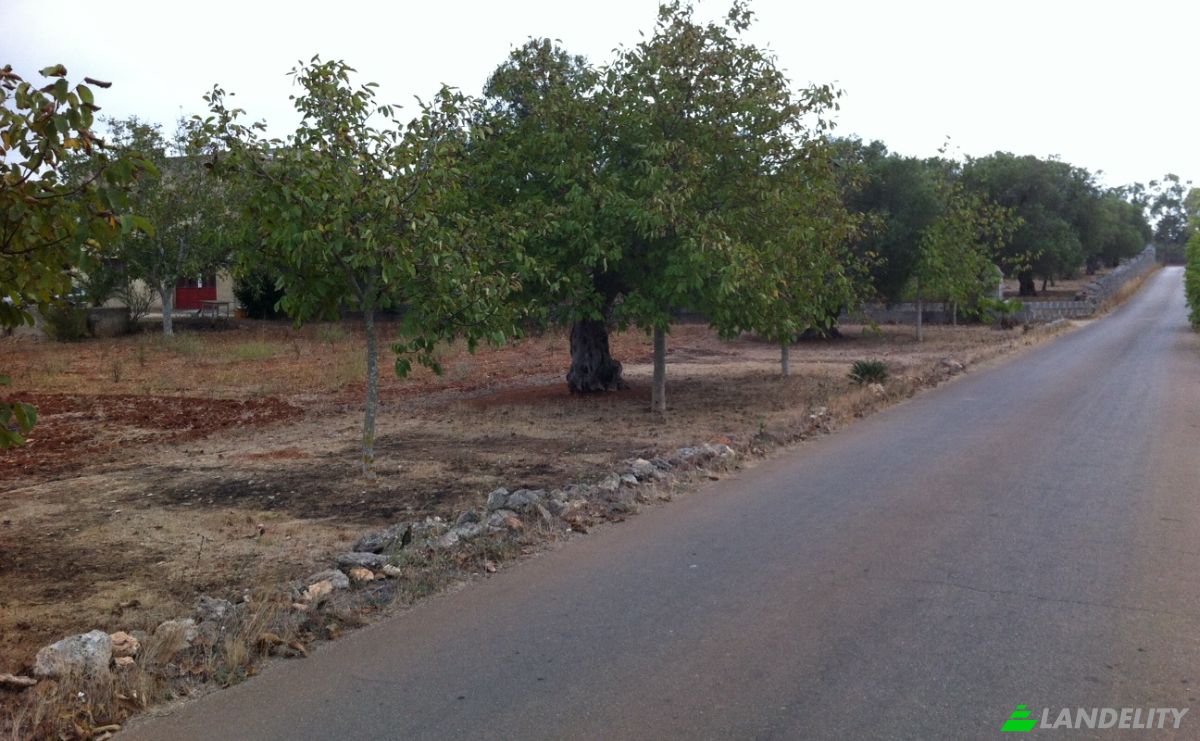 Villa for Sale SC Campare, 73040 Specchia LE, Specchia, Province of Lecce, Apulia, Italy. Photo 2