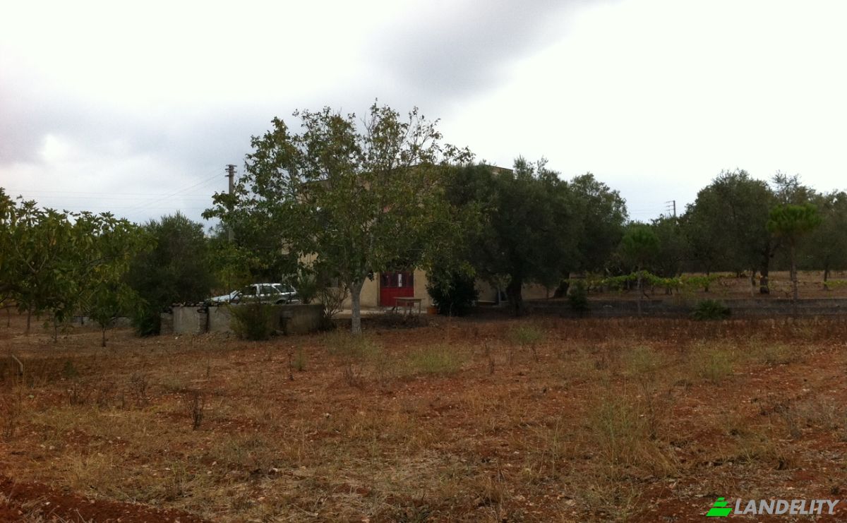 Villa for Sale SC Campare, 73040 Specchia LE, Specchia, Province of Lecce, Apulia, Italy. Photo 7