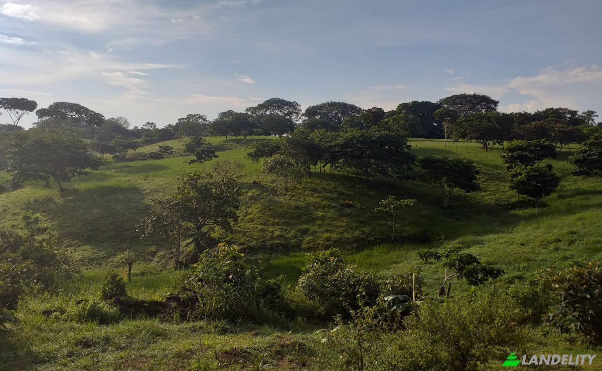 Land Lot for Sale Via las Lajas 9-22, Lajas Adentro, San Felix District, Chiriqui Province, Panama, Provincia de Chiriqui. Photo 1