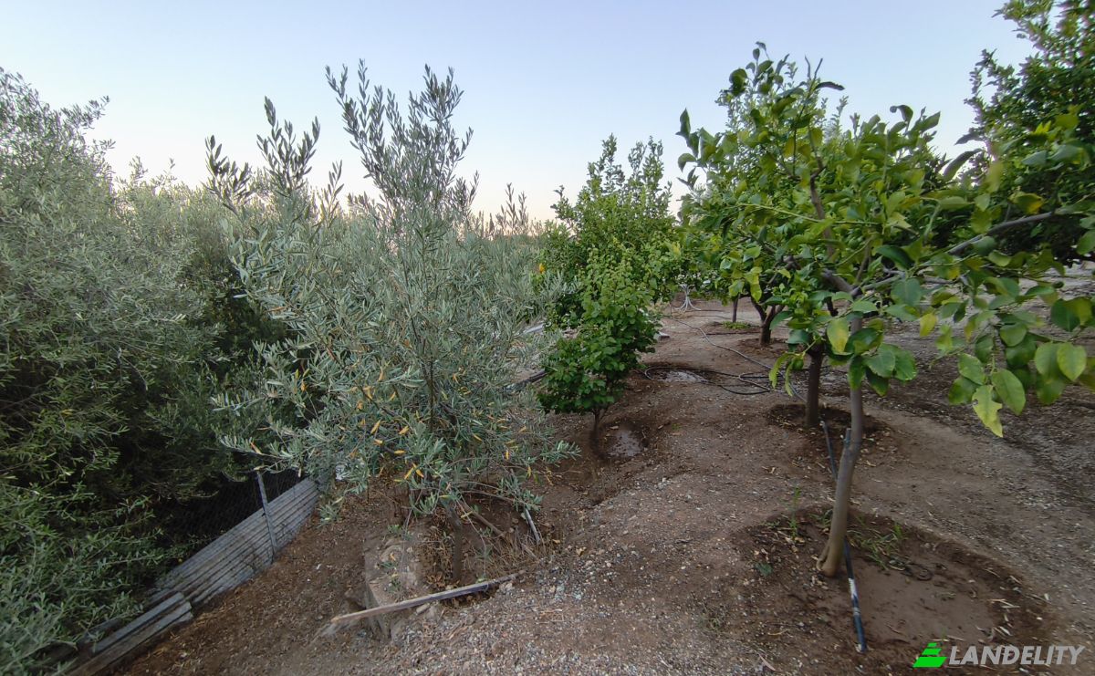 Single Family Home for Sale EO Karditsas Volou, Volos 383 34, Nea Agchialos, Thessalia, Decentralized Administration of Thessaly and Central Greece, Greece. Photo 20