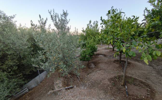 Single Family Home for Sale EO Karditsas Volou. Photo#20 Single Family Home for Sale EO Karditsas Volou. Photo#20