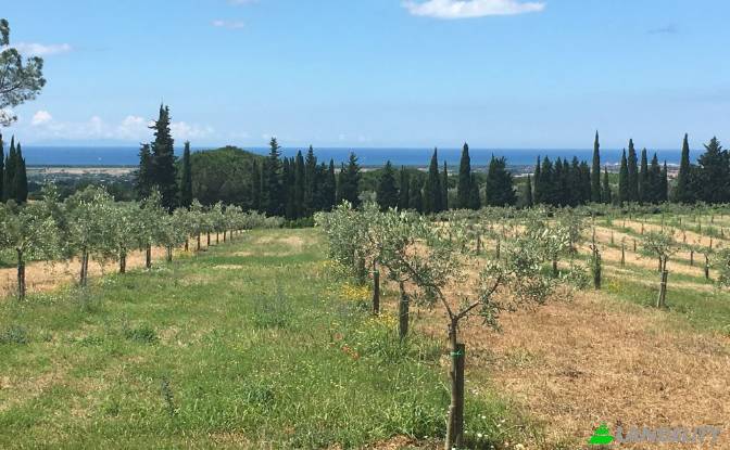 Single Family Home for Sale Strada Provinciale dei. Photo#6