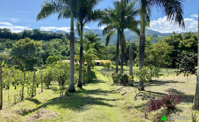 Single Family Home for Sale - Viterbo, Colombia