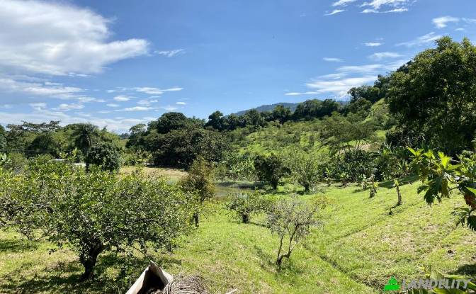 Single Family Home for Sale Via sin nombre. Photo#2