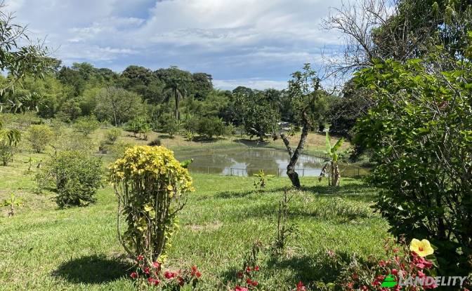 Single Family Home for Sale Via sin nombre. Photo#3