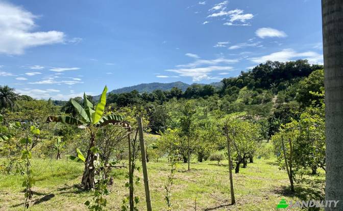 Single Family Home for Sale Via sin nombre. Photo#6
