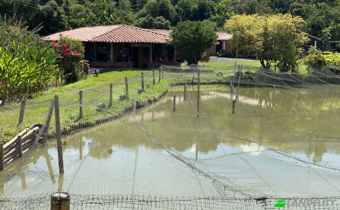 Single Family Home for Sale Via sin nombre. Photo#7