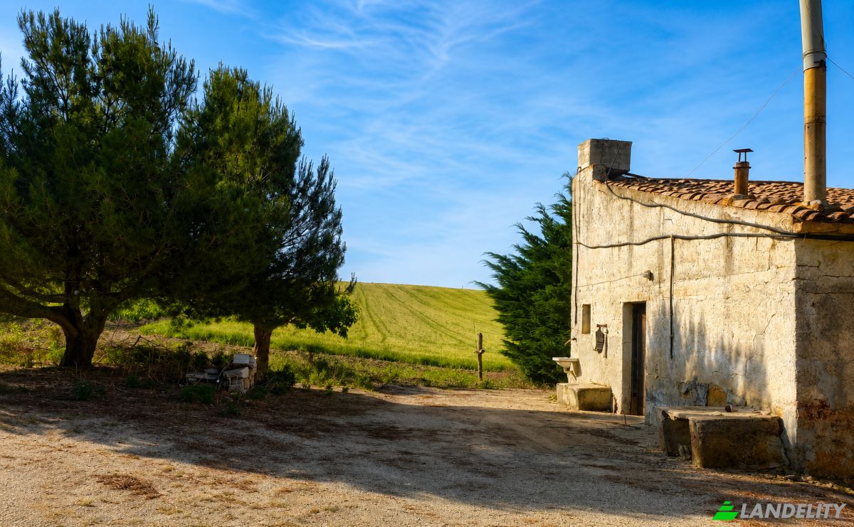 Land Lot for Sale Contrada Cardella, 91013 Calatafimi-Segesta TP, Calatafimi-Segesta, Free municipal consortium of Trapani, Sicily, Italy. Photo 1