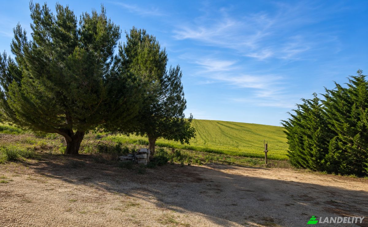 Land Lot for Sale Contrada Cardella, 91013 Calatafimi-Segesta TP, Calatafimi-Segesta, Free municipal consortium of Trapani, Sicily, Italy. Photo 2