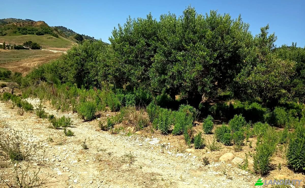 Land Lot for Sale 91013 Calatafimi-Segesta TP, Calatafimi-Segesta, Free municipal consortium of Trapani, Sicily, Italy. Photo 1