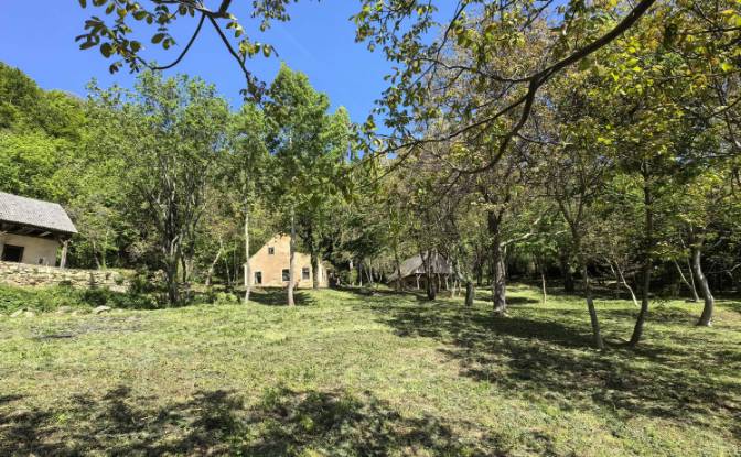 Investing/Development for Sale Podgorje pri. Photo#14 Investing/Development for Sale Podgorje pri. Photo#14