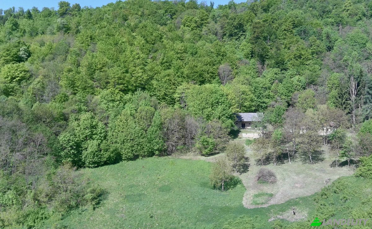 Farm/Ranch for Sale Podgorje pri Pisecah 64, 8255 Pisece, Podgorje pri Pisecah, Municipality of Brezice, Brezice, Slovenia. Photo 16