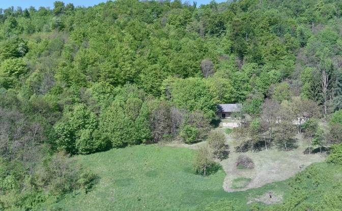 Farm/Ranch for Sale Podgorje pri Pisecah 64. Photo#16