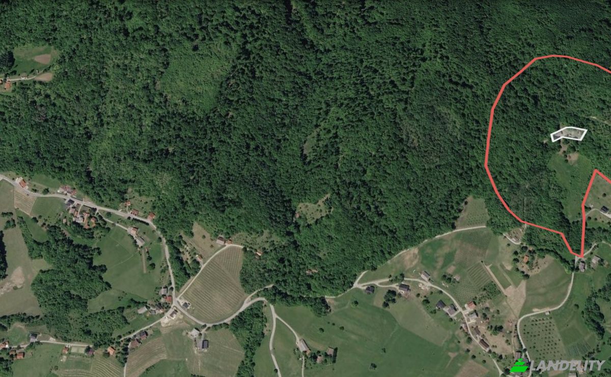 Investing/Development for Sale Podgorje pri Pisecah 64, 8255 Pisece, Podgorje pri Pisecah, Municipality of Brezice, Brezice, Slovenia. Photo 17