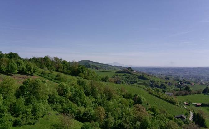 Investing/Development for Sale Podgorje pri. Photo#8 Investing/Development for Sale Podgorje pri. Photo#8