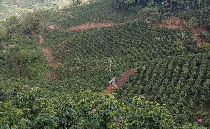 Farm/Ranch for Sale Provincia de Alajuela. Photo#1 Farm/Ranch for Sale Provincia de Alajuela. Photo#1