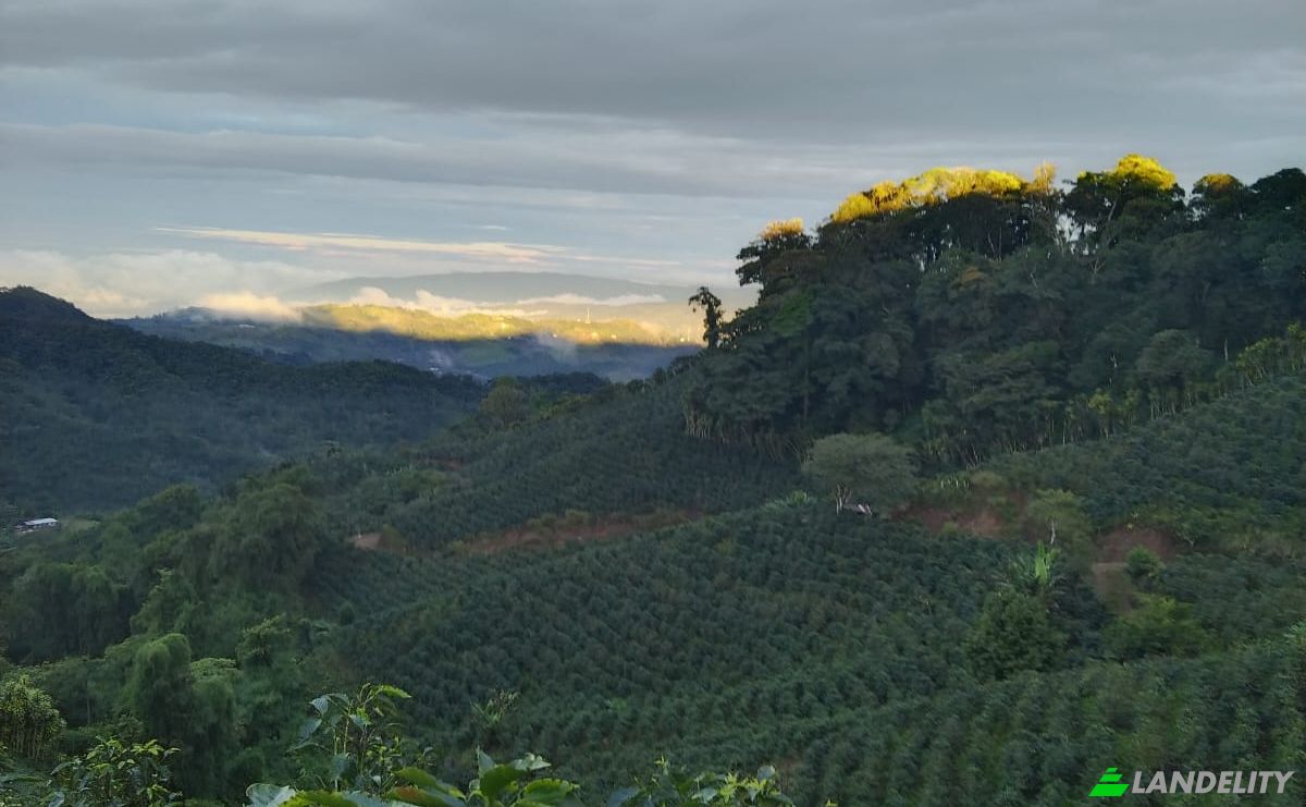 Farm/Ranch for Sale Provincia de Alajuela, Alajuela Province, San Ramon, Costa Rica. Photo 3