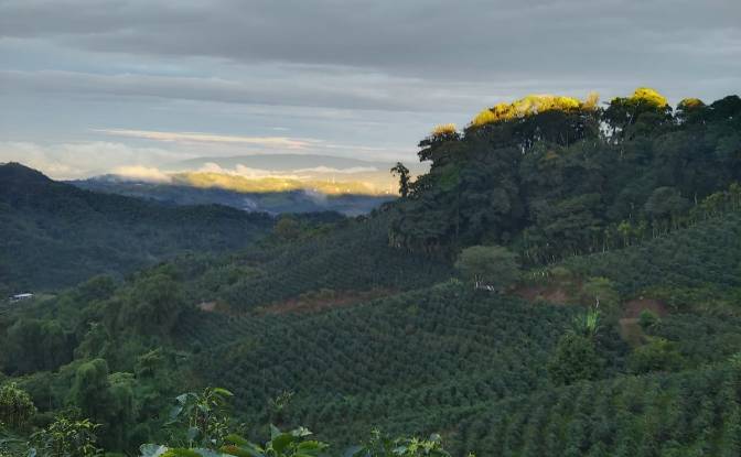 Farm/Ranch for Sale Provincia de Alajuela. Photo#3 Farm/Ranch for Sale Provincia de Alajuela. Photo#3