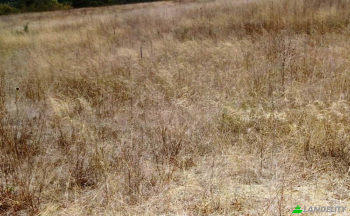 Land Lot for Sale 8239 Burgas, Banya, Nesebar, Burgas, Bulgaria. Photo 1