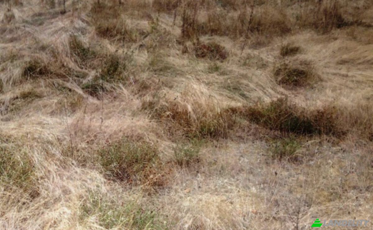 Land Lot for Sale 8239 Burgas, Banya, Nesebar, Burgas, Bulgaria. Photo 2