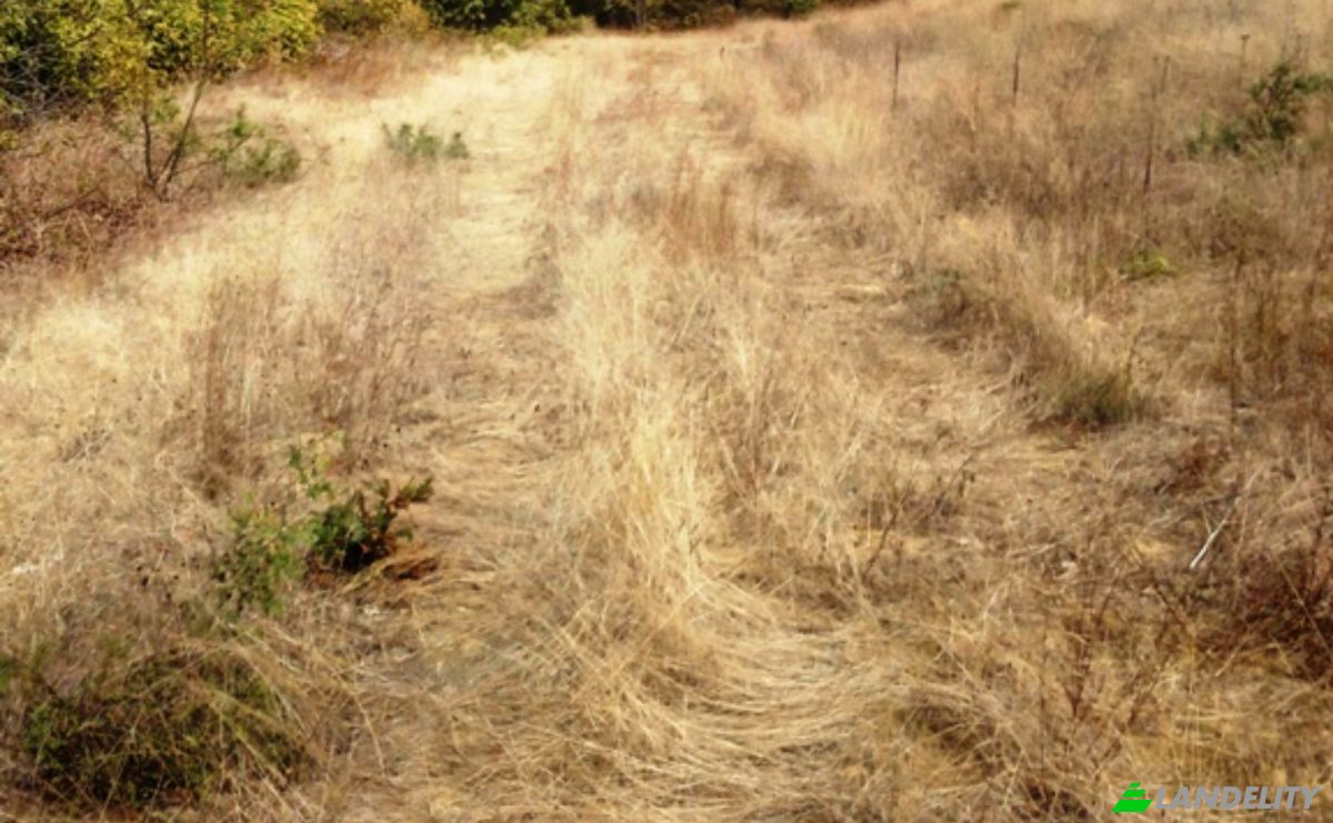 Land Lot for Sale 8239 Burgas, Banya, Nesebar, Burgas, Bulgaria. Photo 3