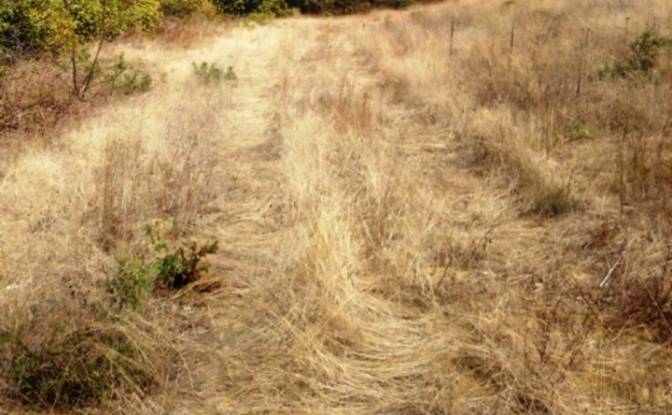 Land Lot for Sale 8239 Burgas, Banya, Nesebar. Photo#3