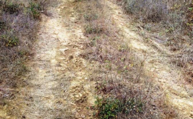 Land Lot for Sale 8239 Burgas, Banya, Nesebar. Photo#4