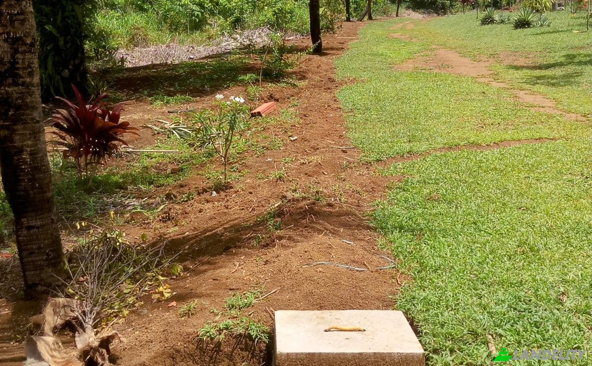 Farm/Ranch for Sale Taboquinhas, Itacare, Bahia, Brazil, 45530-000. Photo 10