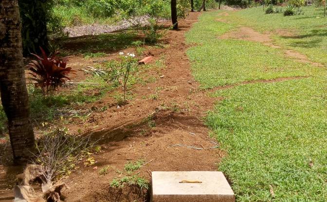 Farm/Ranch for Sale Taboquinhas, Itacare, Bahia. Photo#10
