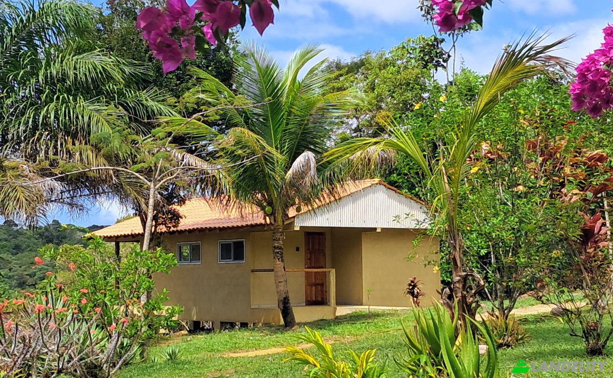 Farm/Ranch for Sale Taboquinhas, Itacare, Bahia, Brazil, 45530-000. Photo 3