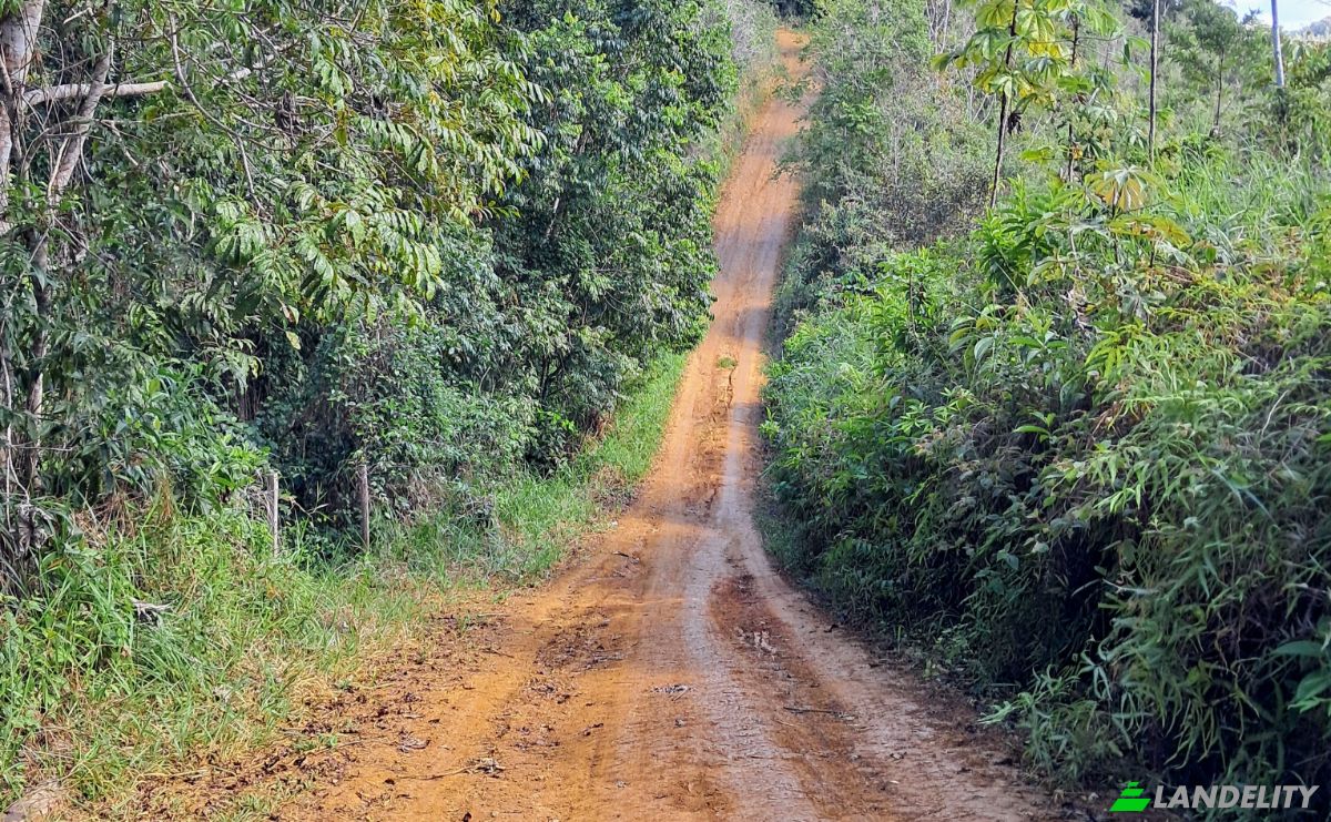 Farm/Ranch for Sale Taboquinhas, Itacare, Bahia, Brazil, 45530-000. Photo 8