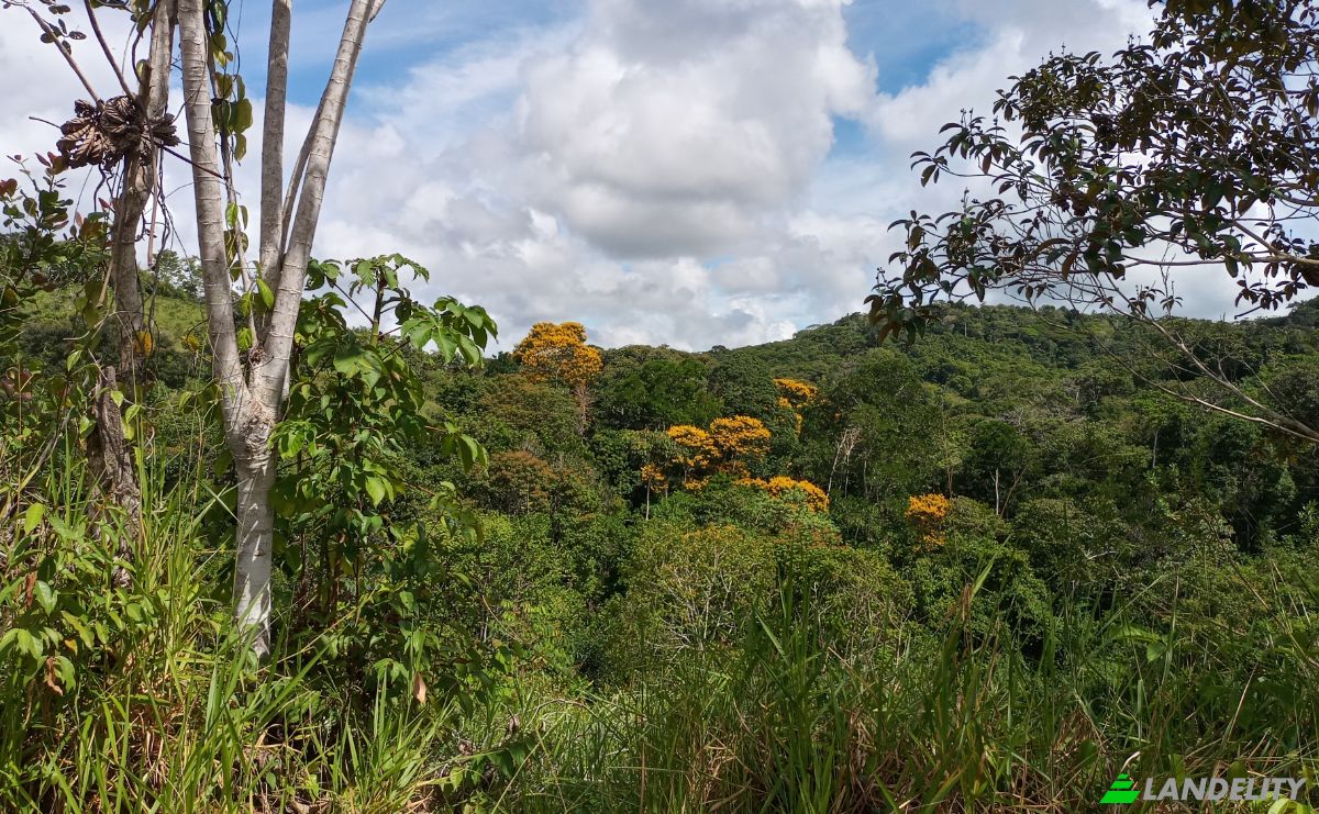 Farm/Ranch for Sale Taboquinhas, Itacare, Bahia, Brazil, 45530-000. Photo 9
