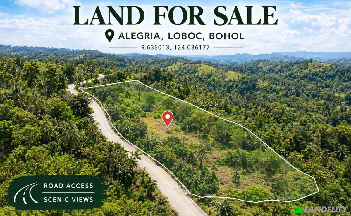 Land Lot for Sale Loboc, Bohol, Central Visayas, Philippines. Photo 1